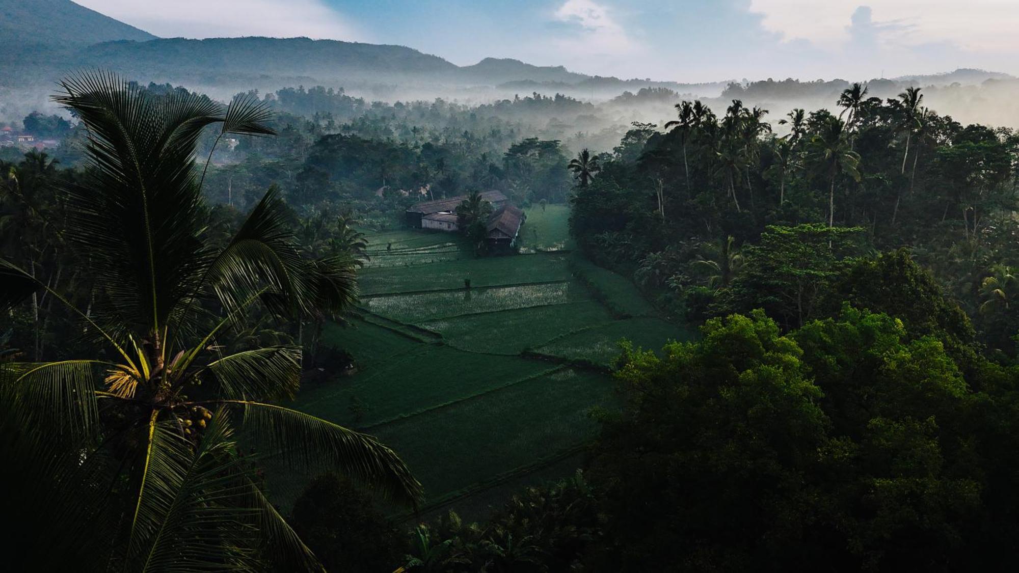 Arcada Bali Bamboo House Vila Sidemen  Exterior foto
