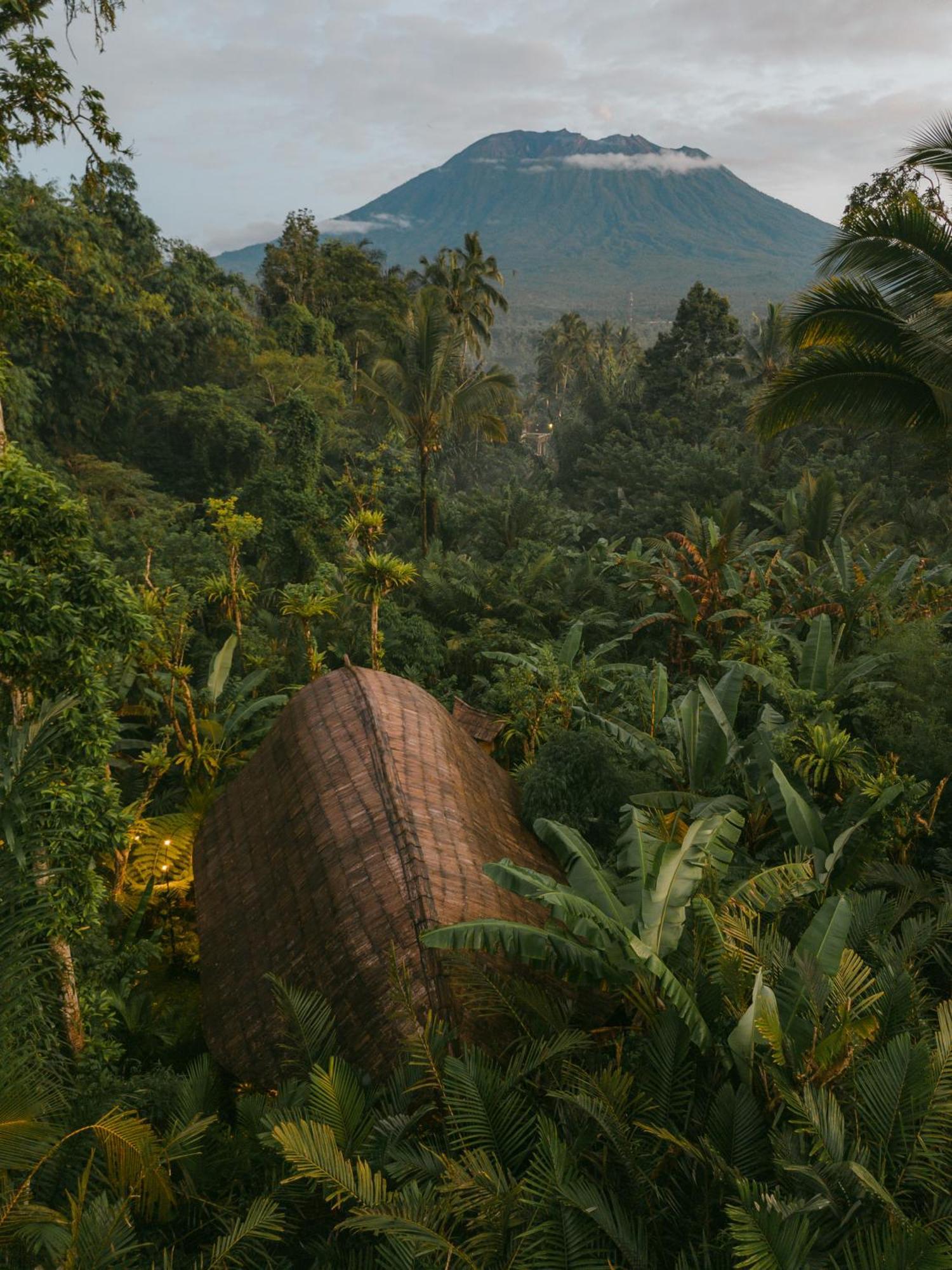 Arcada Bali Bamboo House Vila Sidemen  Exterior foto